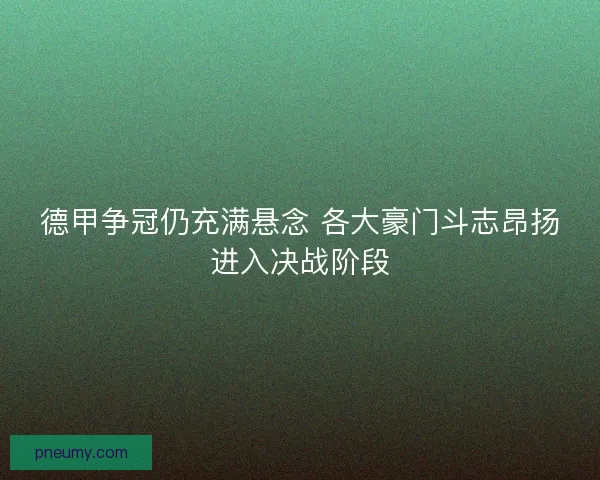 德甲争冠仍充满悬念 各大豪门斗志昂扬进入决战阶段